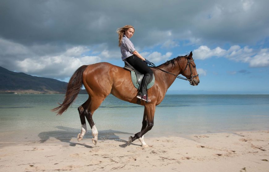 Amazing Horse Riding at Le Morne | Private Transfer Included